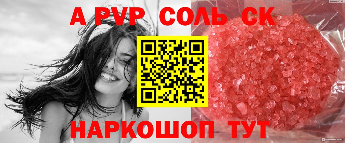 Альфа ПВП СК КРИС Гудермес